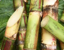 Sugarcane ingredients